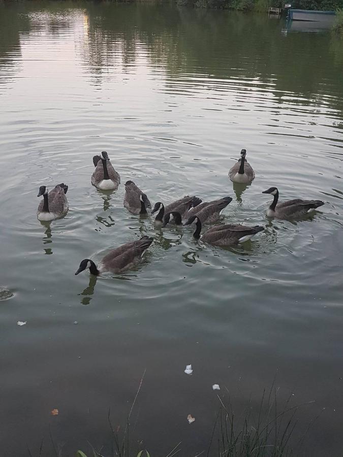 Elton Barn Fishery & Retreat Nottingham Bagian luar foto